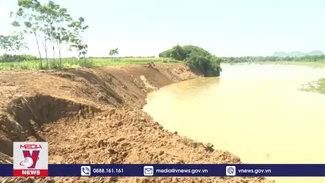 Thanh Hóa cần sớm xây kè chống sạt lở bờ sông Chu 