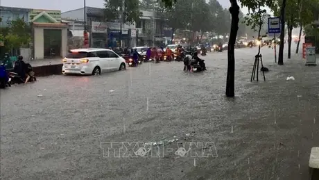 Thời tiết ngày Quốc khánh 2/9: Nhiều khu vực có mưa dông, cục bộ có mưa to