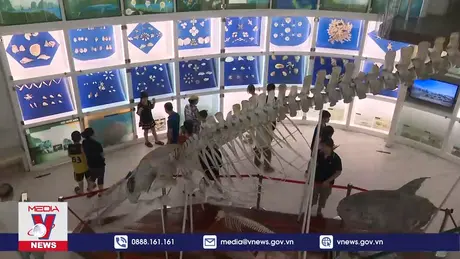 Bảo tàng Quảng Ninh điểm đến hấp dẫn dịp nghỉ lễ