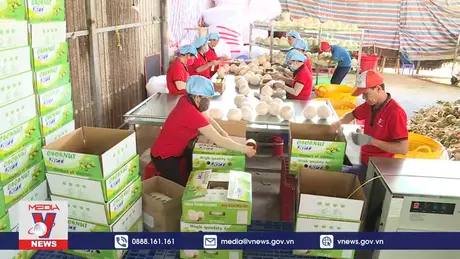 Cơ hội “bùng nổ” xuất khẩu rau quả vào thị trường tỷ dân