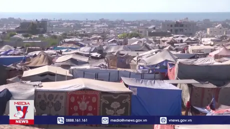 Ai Cập, Saudi Arabia khẳng định cần đạt được lệnh ngừng bắn ở Gaza