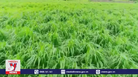 Công nghệ nông nghiệp giúp nông dân Rwanda đổi đời