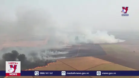 Số vụ cháy rừng Amazon ở Brazil cao kỷ lục