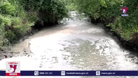Ô nhiễm môi trường nghiêm trọng trên suối Bà Sự - Tây Ninh