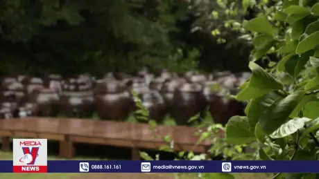 Biến đổi khí hậu “đe dọa” món kim chi của Hàn Quốc