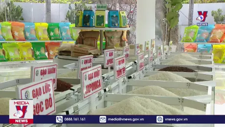 Xuất khẩu gạo thu về 3,85 tỷ USD