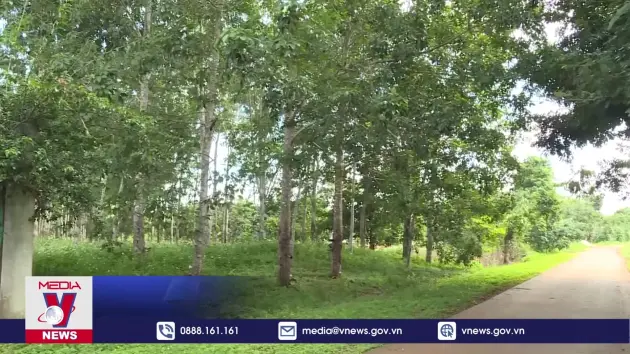 Huyện thu hồi Sổ đỏ cấp sai, người dân điêu đứng