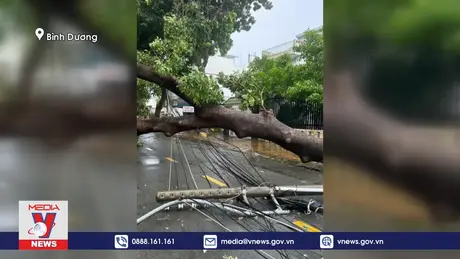 Mưa lớn gây đổ hàng loạt cây xanh và trụ điện tại Bình Dương
