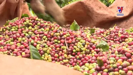 越通社新闻 - Bản tin tiếng Trung ngày 4/9/2024