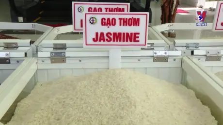 Nhật trình kinh tế ngày 4/9/2024