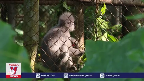 Vườn Quốc gia Cúc Phương lần thứ 6 được vinh danh 