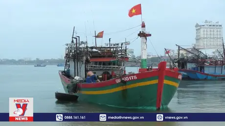 Quảng Bình kêu gọi tàu thuyền tránh, trú bão số 3