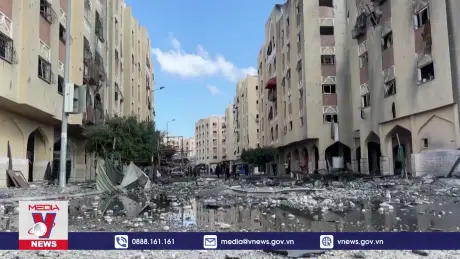 Hamas không cần đề xuất ngừng bắn mới tại Gaza