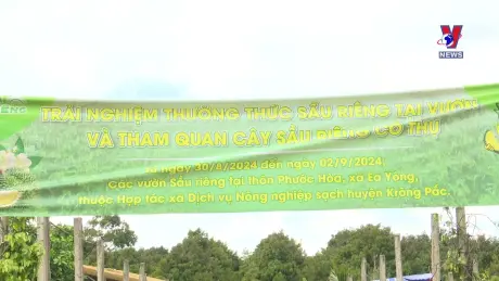 Nhật trình kinh tế ngày 05/9/2024