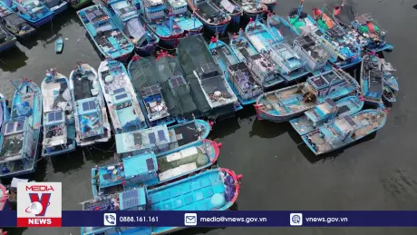 Cần đảm bảo an toàn cho tàu thuyền neo đậu