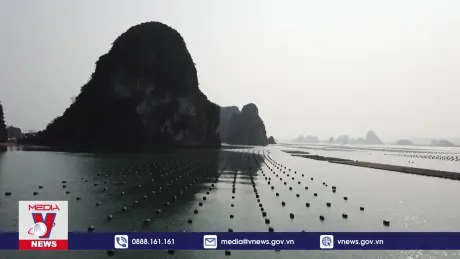 Ngành Thủy sản cấp bách ứng phó bão