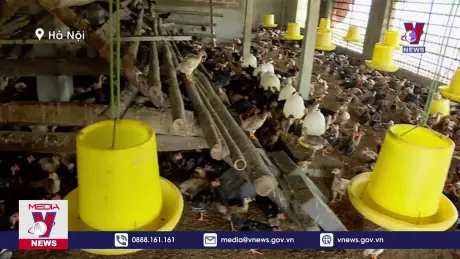 Hà Nội sẵn sàng phương án ứng phó bão Yagi