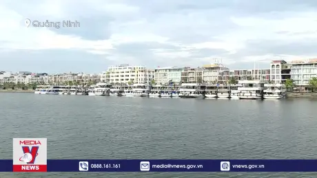 Quảng Ninh chủ động ứng phó bão số 3