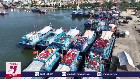 Bộ Tư lệnh quân khu 4 kiểm tra công tác ứng phó với bão