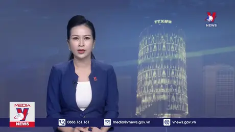 Bộ Chính trị, Ban Bí thư xem xét, thi hành kỷ luật tổ chức đảng, đảng viên