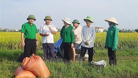 Bão số 3 Yagi: Chuẩn bị các phương án phù hợp với diễn biến thực tế