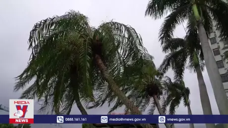 Trung Quốc sơ tán gần 420.000 người tránh siêu bão Yagi