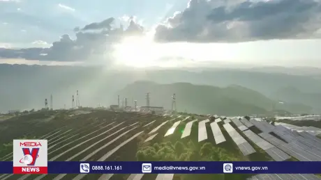 Phát hiện gian lận trong giao dịch tín chỉ carbon tại Đức