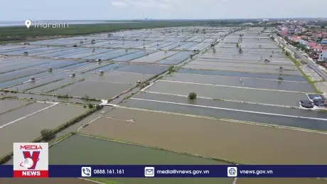 Thái Bình chủ động tiêu thoát nước bảo vệ lúa mùa và thủy hải sản