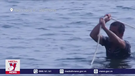 Tiếp tục tuyên truyền, kêu gọi các phương tiện vào nơi tránh trú bão