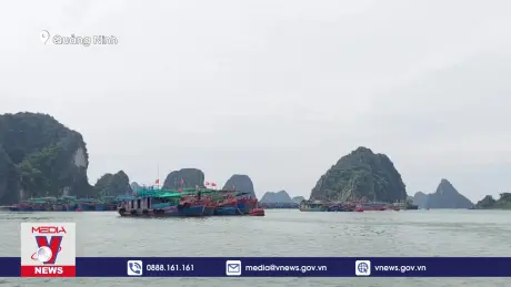 Huyện Vân Đồn chủ động ứng phó bão số 3