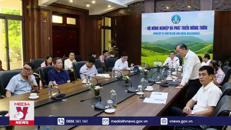 Sẵn sàng xuất khẩu dừa tươi tới thị trường Trung Quốc