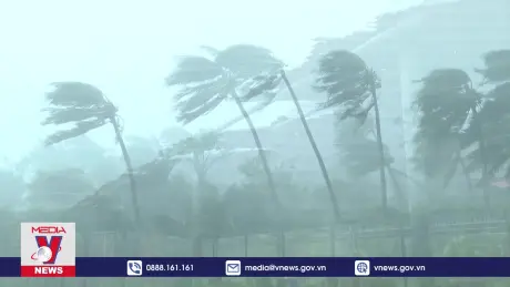 Siêu bão Yagi khiến gần 100 người thương vong tại tỉnh Hải Nam, Trung Quốc 