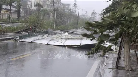 (CẬP NHẬT) Diễn biến bão số 3 - Yagi: Thông tin thiệt hại tại các địa phương