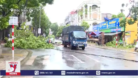 Thiệt hại do bão số 3 tại Bắc Ninh
