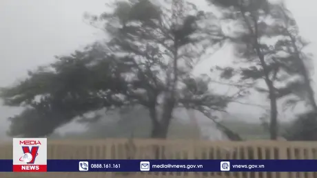 Tình hình mưa bão tại Bạch Long Vỹ