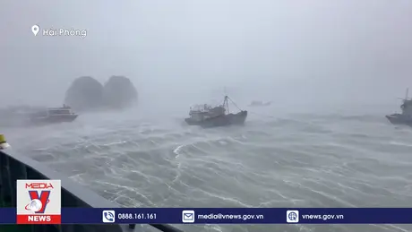 Bão cuốn đứt neo tàu hàng tại Hải Phòng