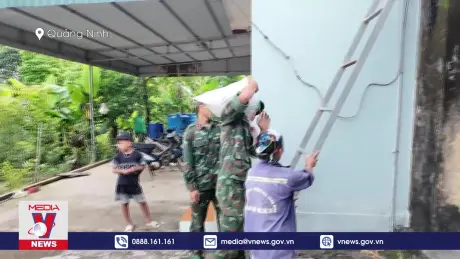 Huyện đảo Cô Tô di tản gần 800 người dân