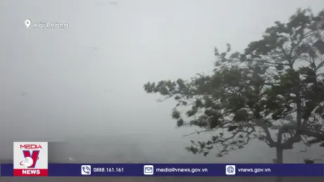 Đồ Sơn tan hoang trong bão