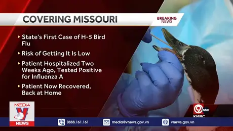 Mỹ ghi nhận người mắc cúm gia cầm không tiếp xúc với động vật
