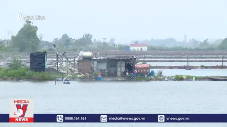 Vùng ven biển tỉnh Ninh Bình mưa gió dữ dội