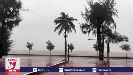 Hải Phòng mưa to, gió giật mạnh