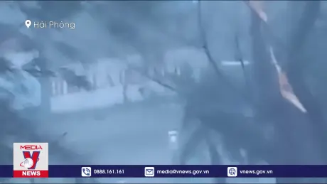 Bão số 3 đi qua huyện đảo Bạch Long Vỹ với sức gió cấp 17