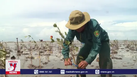Kè ngầm chắn sóng giúp hạn chế xâm thực biển
