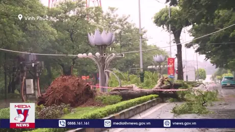 Bão số 3 gây thiệt hại nhiều nơi ở Vĩnh Phúc