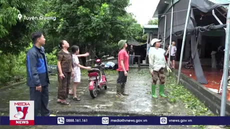 Bão số 3 gây nhiều thiệt hại tại Tuyên Quang