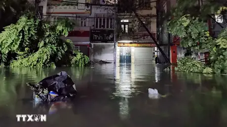 Bão Yagi làm 1 người chết, 3 người bị thương, 2.500 cây đổ, 17 trạm bơm mất điện tại Hà Nội