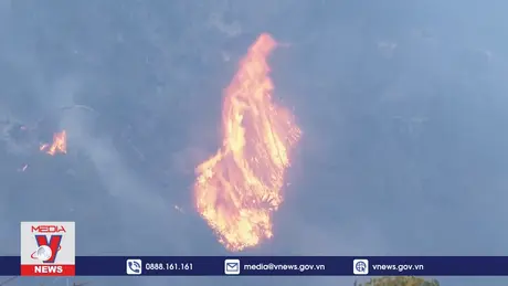 Cháy rừng lan rộng tại Ecuador