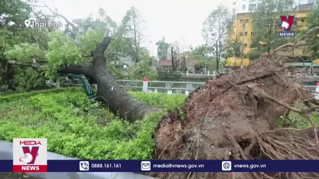 Thiệt hại do bão số 3 tại Thái Bình