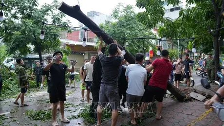 Người dân Thủ đô chung tay khắc phục hậu quả cơn bão số 3