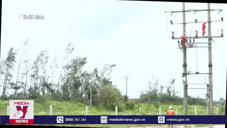 Điện lực Thái Bình nỗ lực sớm cấp điện trở lại